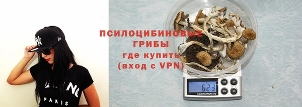 не бодяженный Алексин