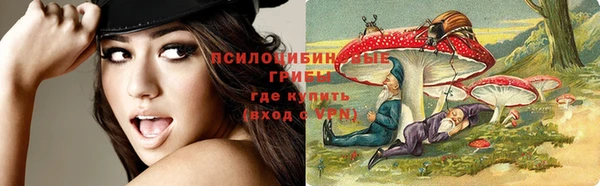 MDMA Приозерск