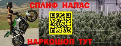 ALPHA PVP Кунгур