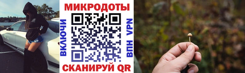 Псилоцибиновые грибы Cubensis  купить наркотик  Зеленогорск 