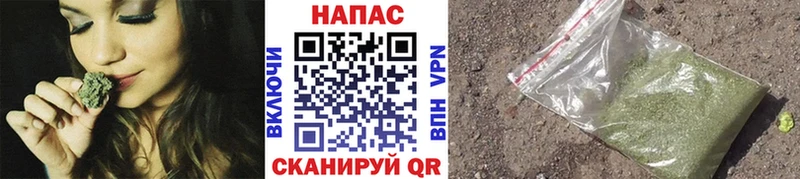 где купить наркоту  Зеленогорск  MEGA рабочий сайт  Бошки марихуана OG Kush 